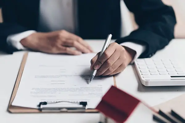 蒲字笔顺全怎么写，正确写法详解