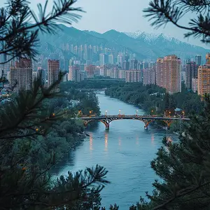 当众蔑视法律违反什么