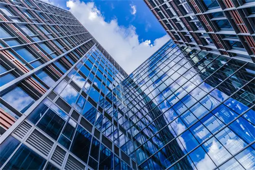 学法律什么职业好